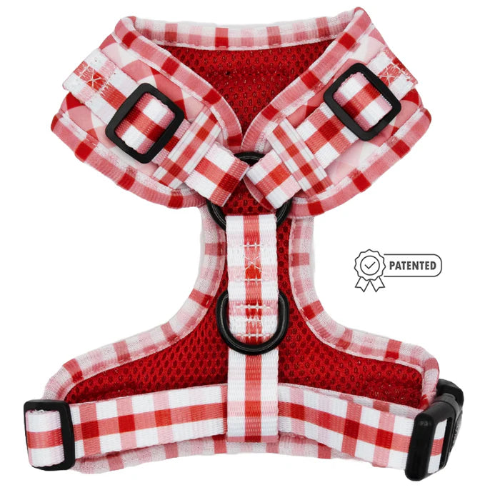 Picnic Fur Two - Modern Dog Adjustable Harness