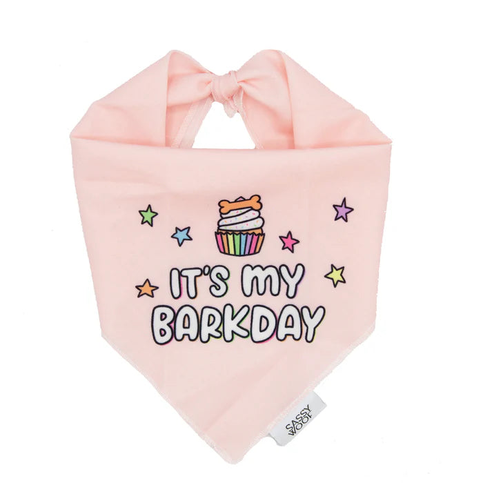 Barkday Pink - Modern Dog Bandana