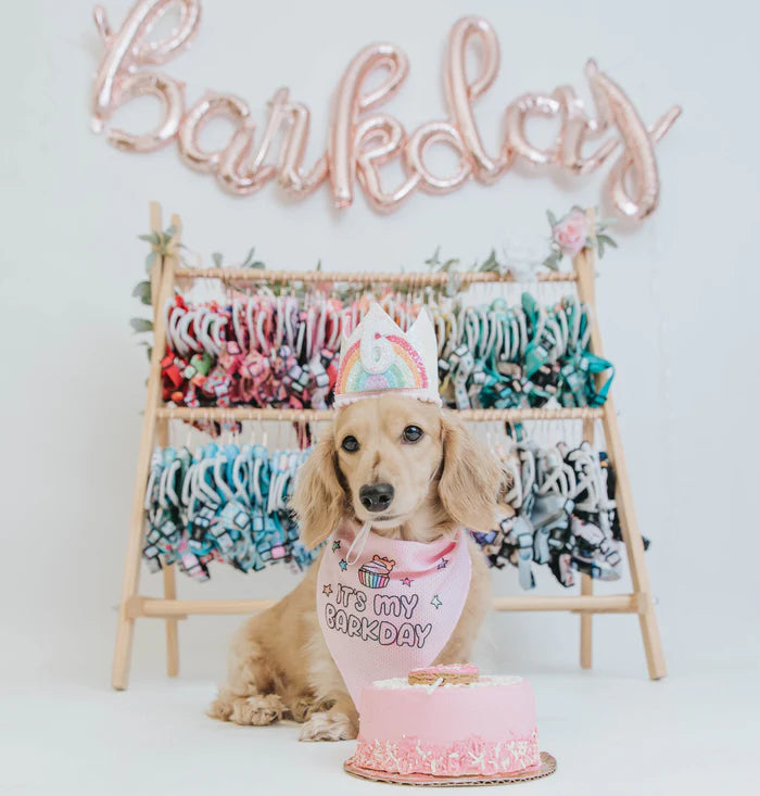 Barkday Pink - Modern Dog Bandana