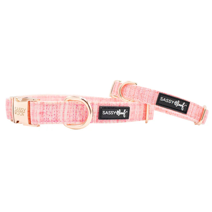 Dolce Rose - Modern Dog Collar