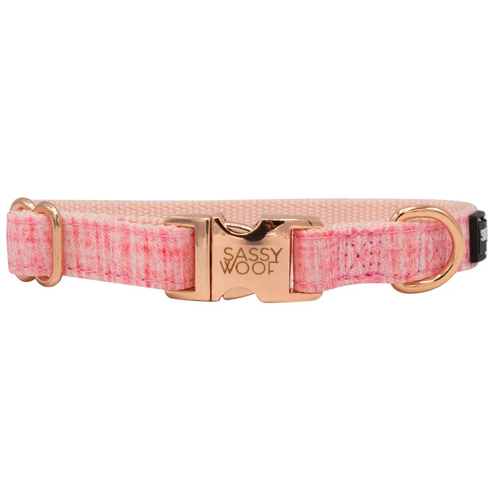 Dolce Rose - Modern Dog Collar