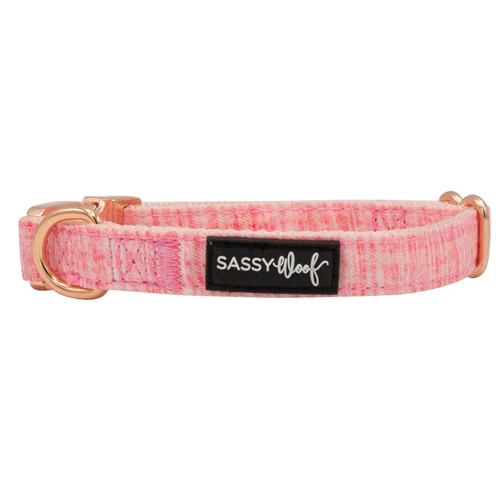 Dolce Rose - Modern Dog Collar