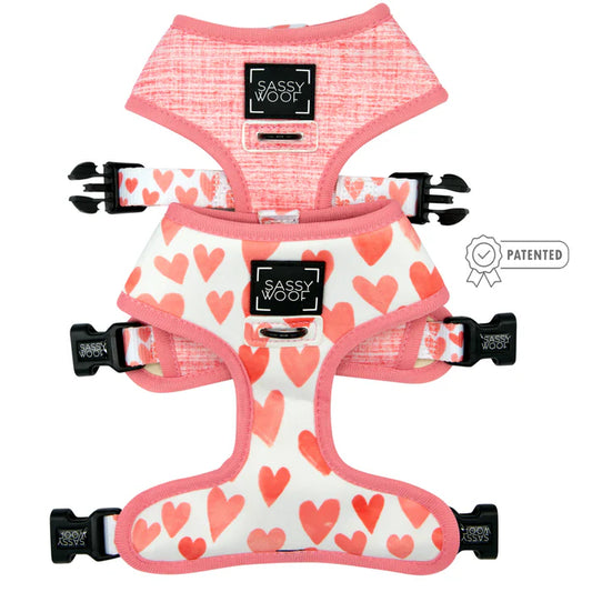 Dolce Rose - Modern Dog Reversible Harness