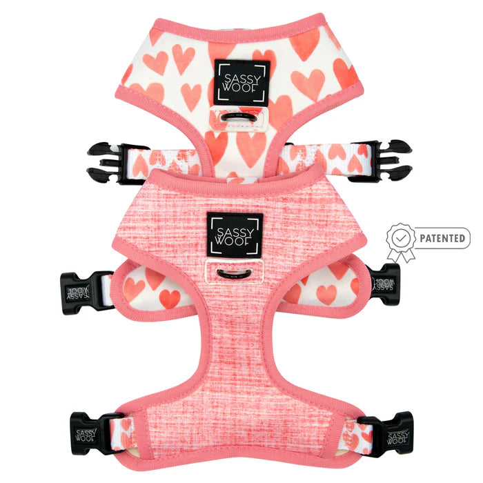 Dolce Rose - Modern Dog Reversible Harness