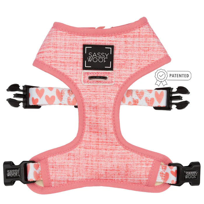 Dolce Rose - Modern Dog Reversible Harness