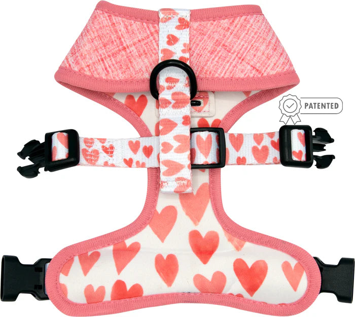 Dolce Rose - Modern Dog Reversible Harness