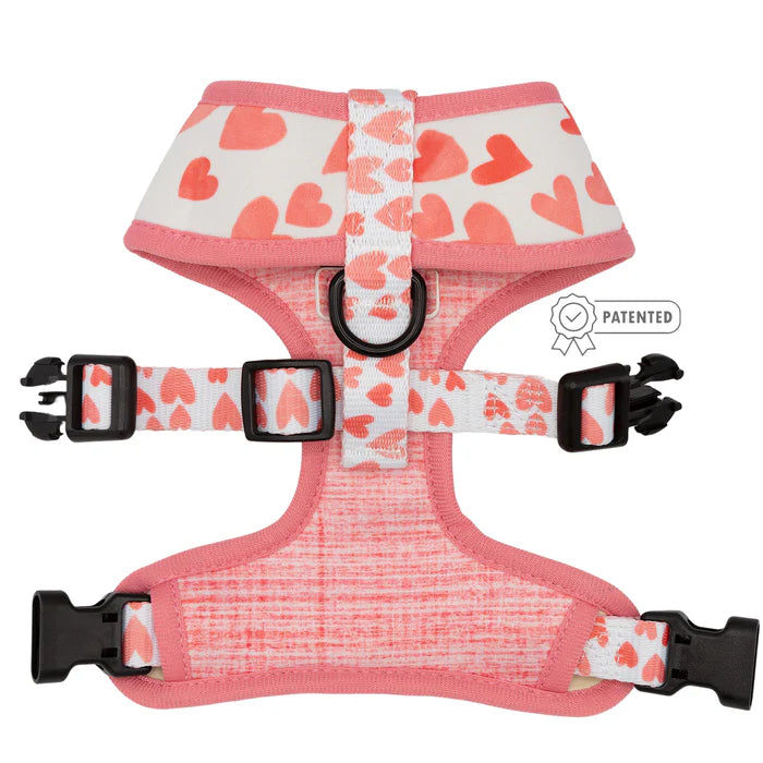 Dolce Rose - Modern Dog Reversible Harness