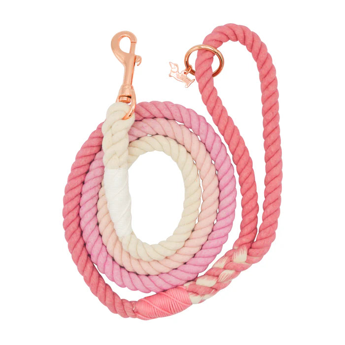 Rosie - Modern Dog Rope Leash