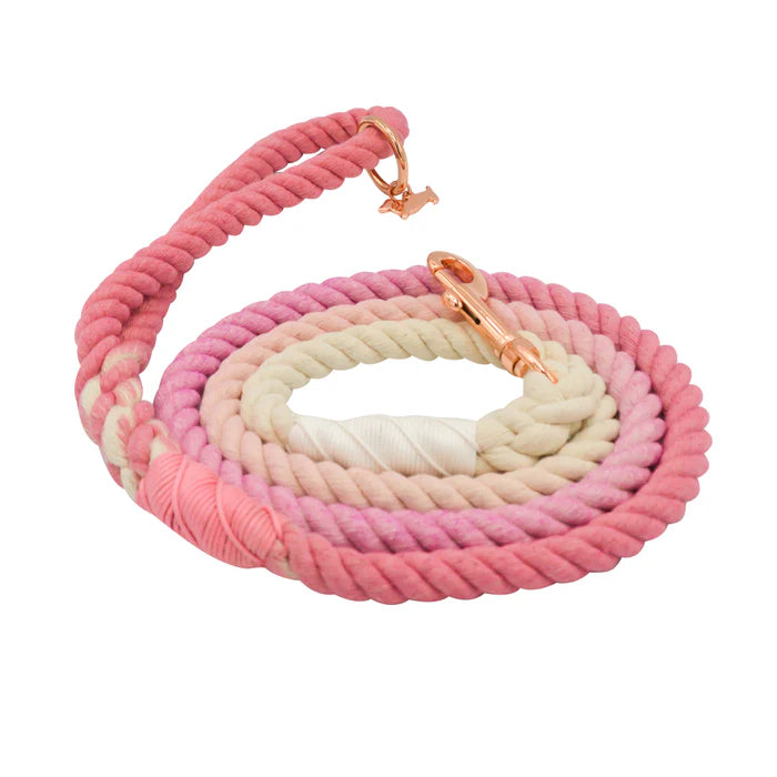 Rosie - Modern Dog Rope Leash