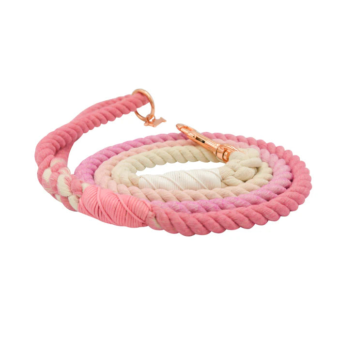 Rosie - Modern Dog Rope Leash