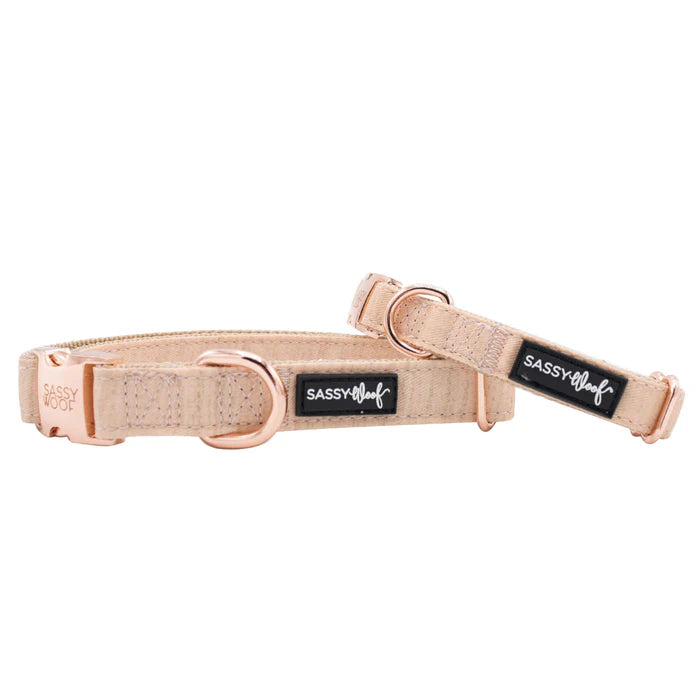 Pinot - Modern Dog Collar