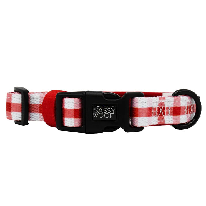 Picnic Fur Two - Modern Dog Collar