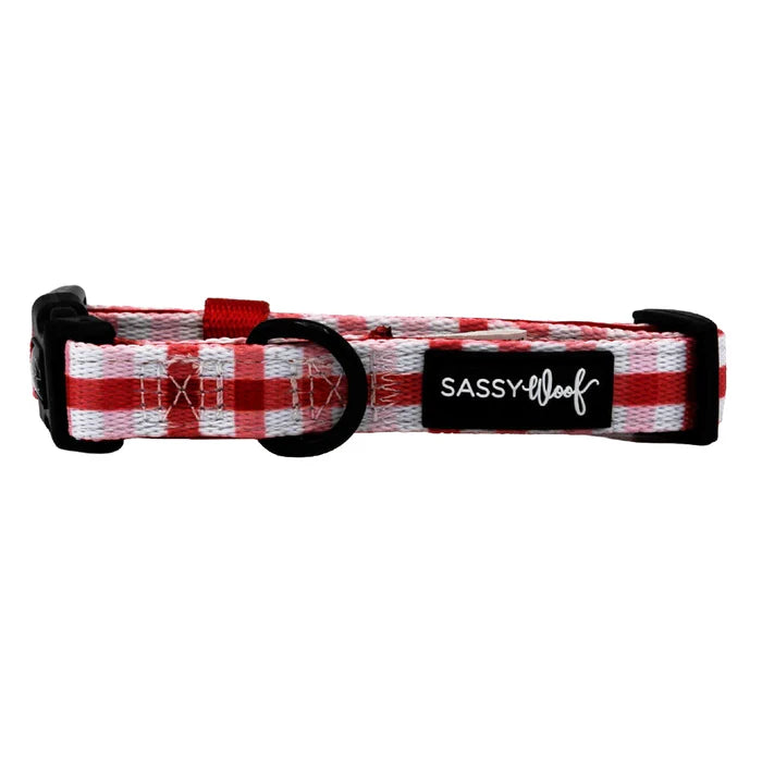 Picnic Fur Two - Modern Dog Collar