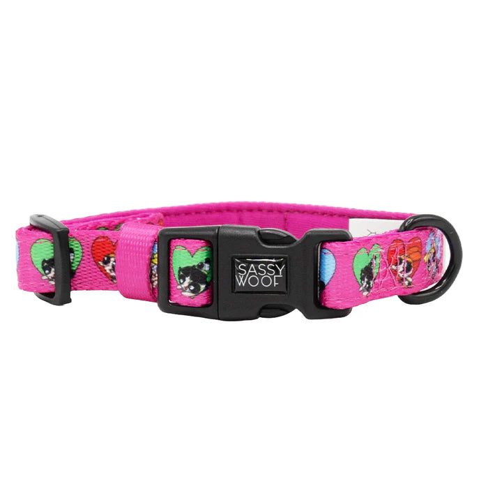 The Powerpuff Girls™ (Love) - Modern Dog Collar