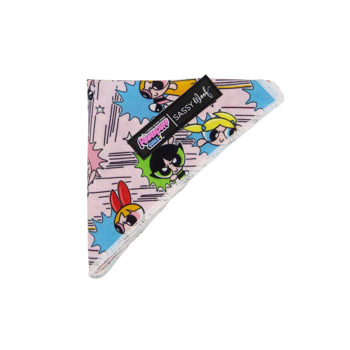 The Powerpuff Girls™ (Pink) - Modern Dog Bandana