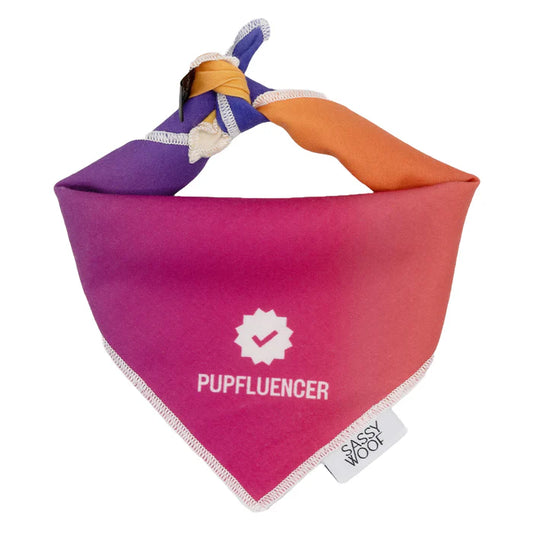 Pupfluencer - Modern Dog Bandana