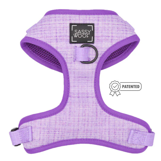 Aurora - Modern Dog Adjustable Harness