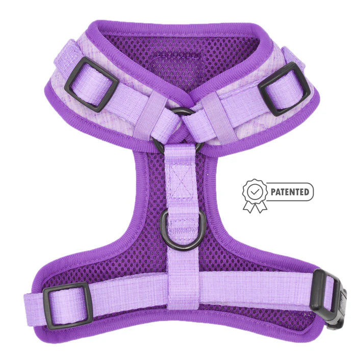 Aurora - Modern Dog Adjustable Harness