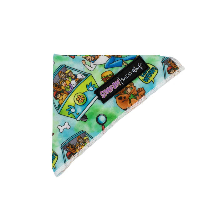 Scooby-Doo™ - Modern Dog Bandana