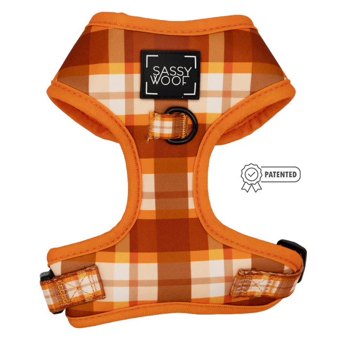 Spiced Harvest - Modern Dog Adjustable Harness