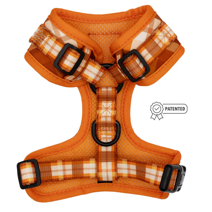 Spiced Harvest - Modern Dog Adjustable Harness