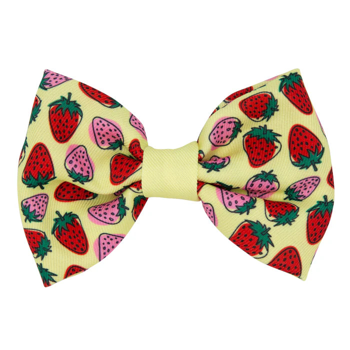 Strawberry Fields Furever - Modern Dog Bowtie