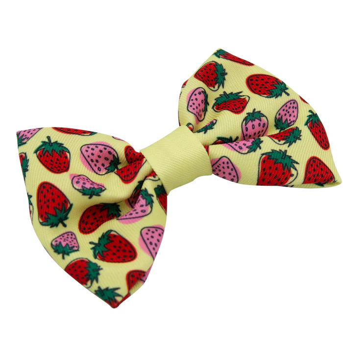 Strawberry Fields Furever - Modern Dog Bowtie