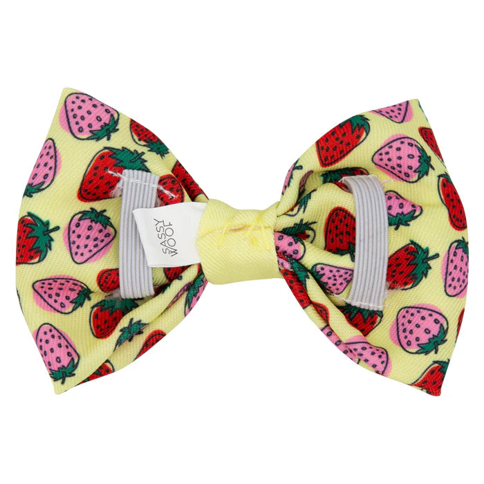 Strawberry Fields Furever - Modern Dog Bowtie