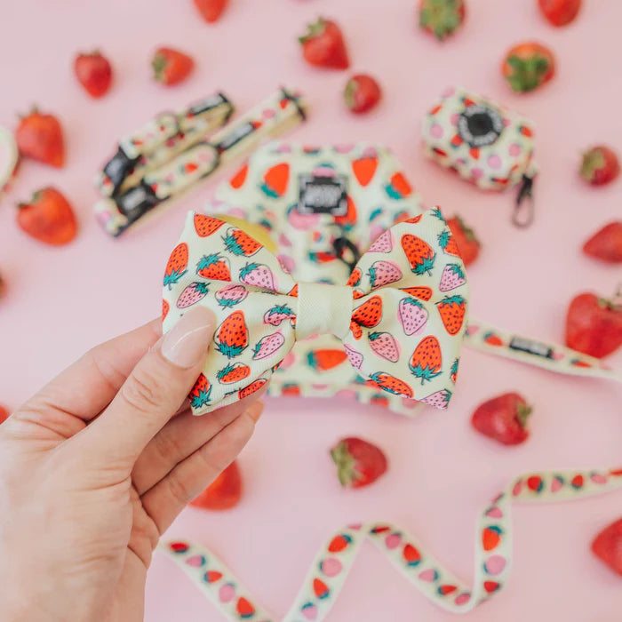 Strawberry Fields Furever - Modern Dog Bowtie