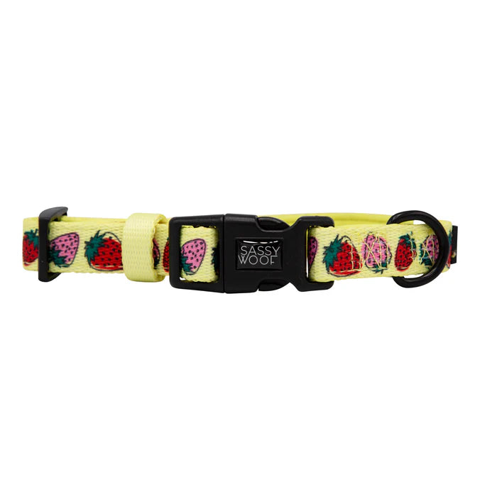 Strawberry Fields Furever - Modern Dog Collar