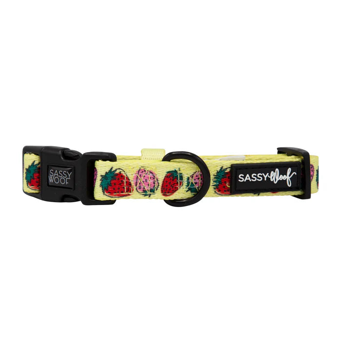 Strawberry Fields Furever - Modern Dog Collar