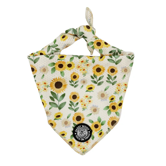 Sunflower Dreams - Modern Dog Bandana