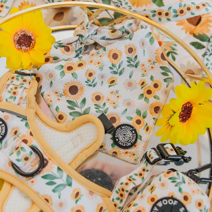 Sunflower Dreams - Modern Dog Bandana