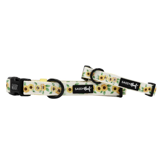 Sunflower Dreams - Modern Dog Collar