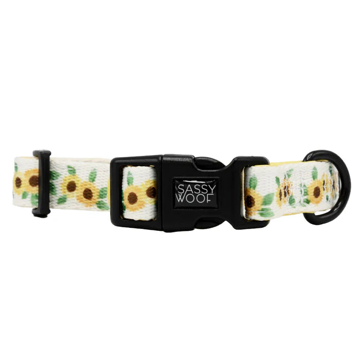 Sunflower Dreams - Modern Dog Collar