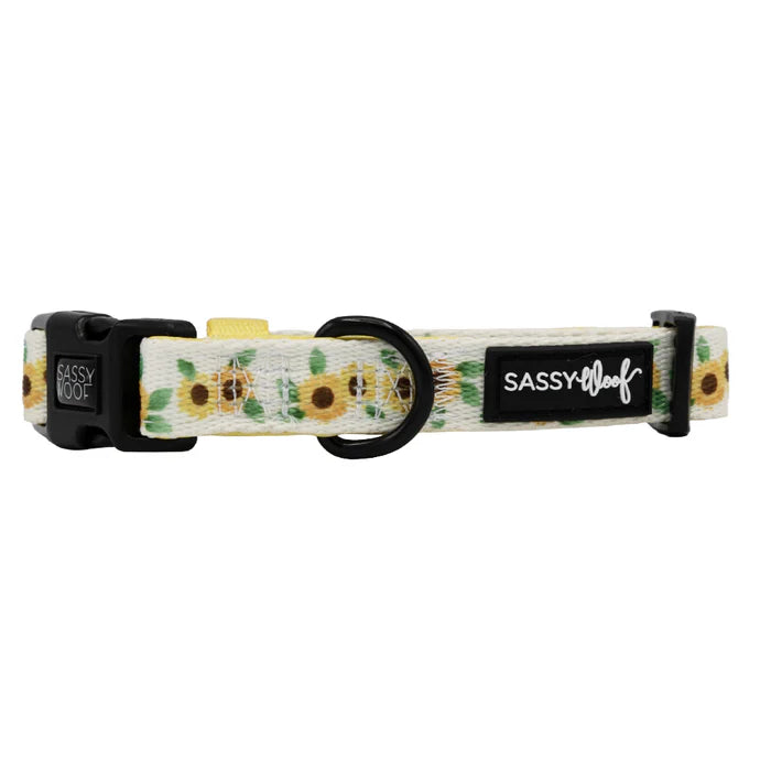 Sunflower Dreams - Modern Dog Collar