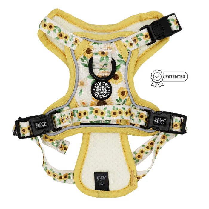 Sunflower Dreams - Modern Dog Step-In-Harness