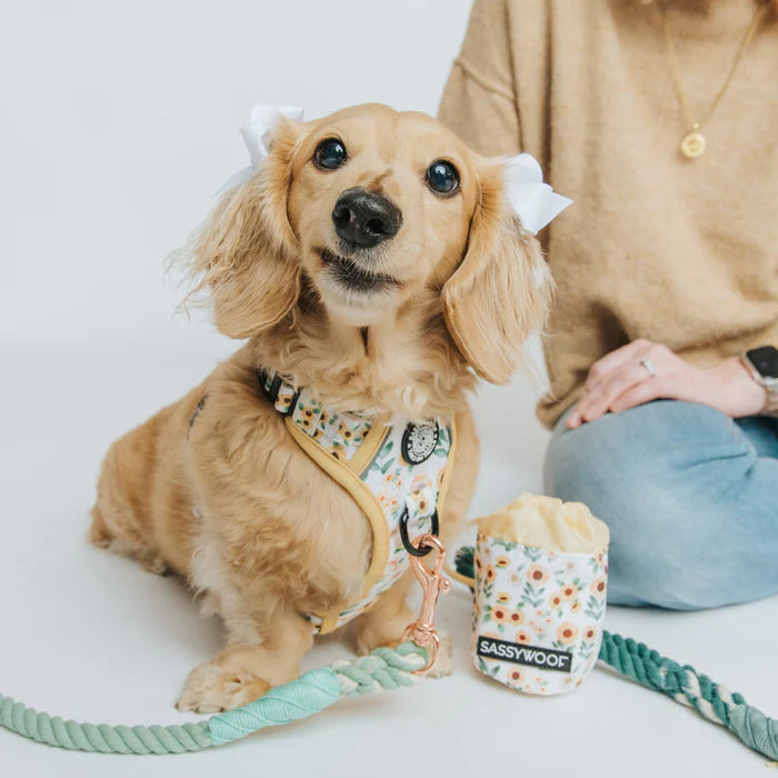 Sunflower Dreams - Modern Dog Treat Pouch