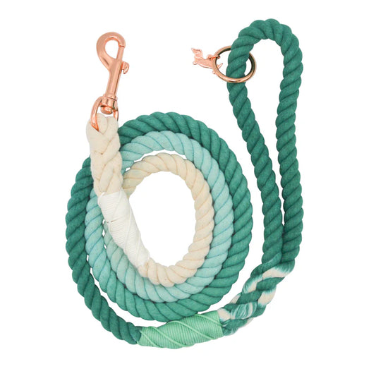 Ombre Teal - Modern Dog Rope Leash