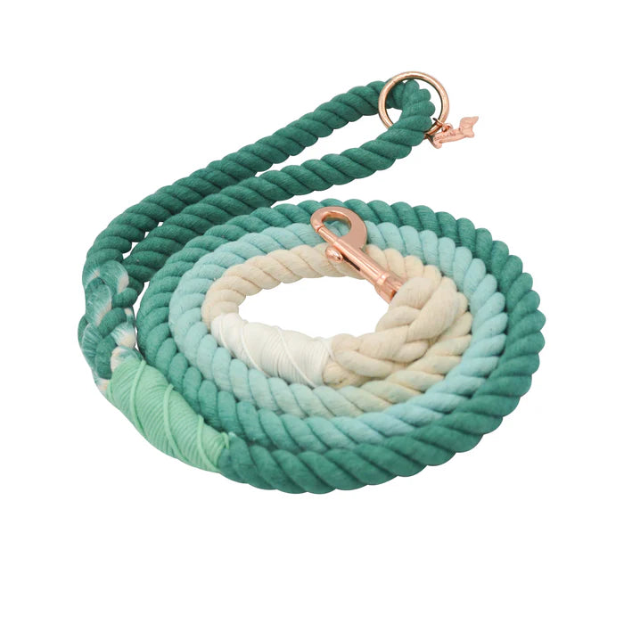 Ombre Teal - Modern Dog Rope Leash