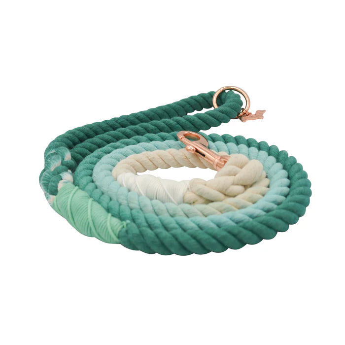 Ombre Teal - Modern Dog Rope Leash