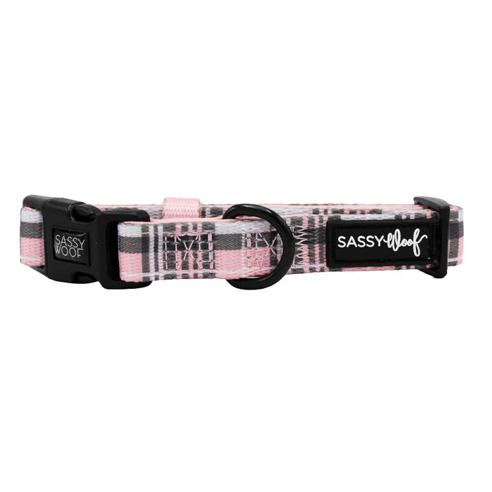 Pawberry - Modern Dog Collar