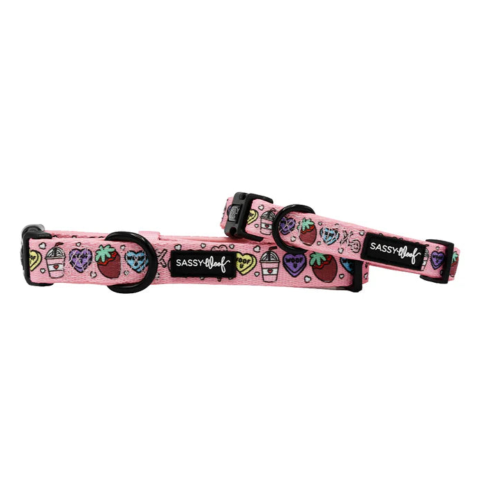 I Chews You - Modern Valentine's Dog Collar