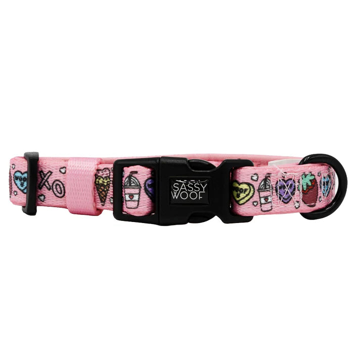 I Chews You - Modern Valentine's Dog Collar