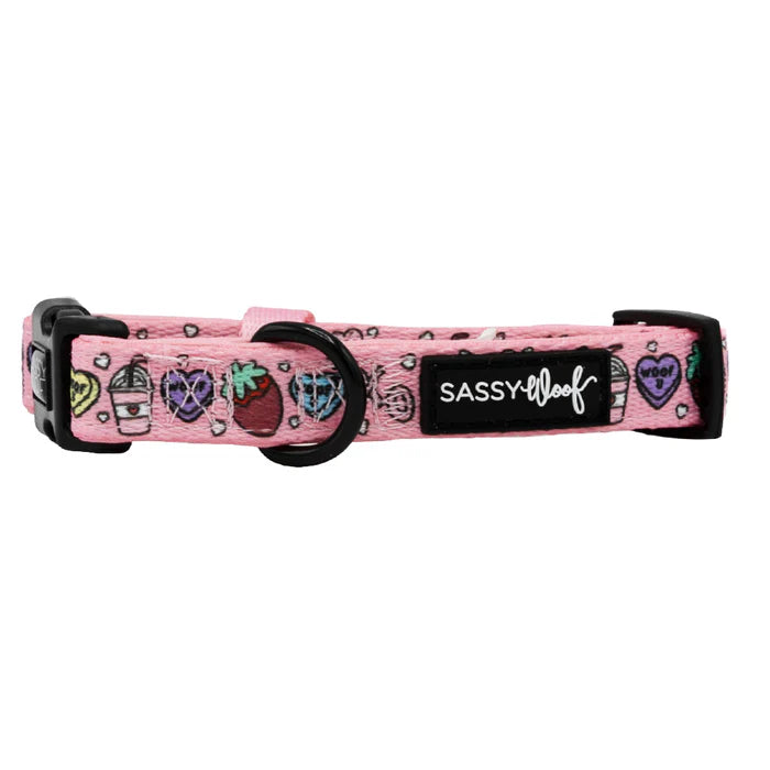 I Chews You - Modern Valentine's Dog Collar