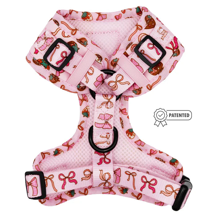 Sweet Treats - Modern Adjustable Dog Harness