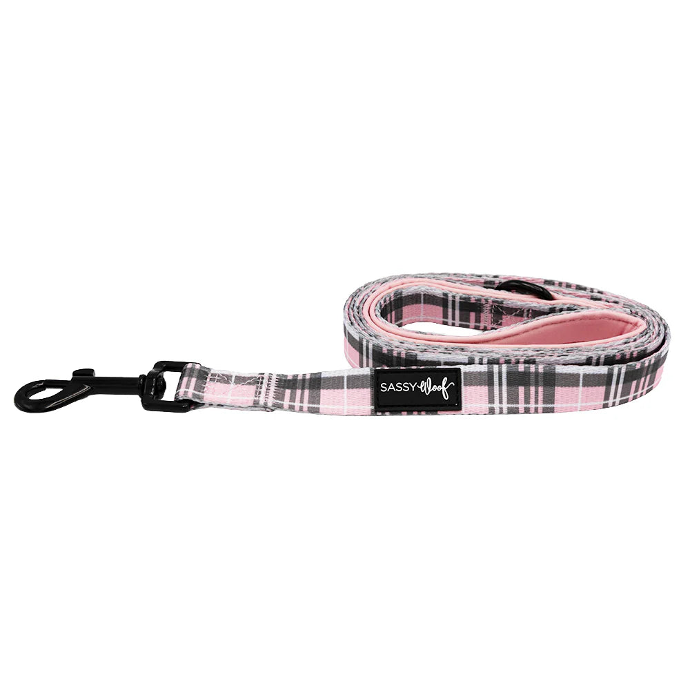 Pawberry - Modern Dog Collar