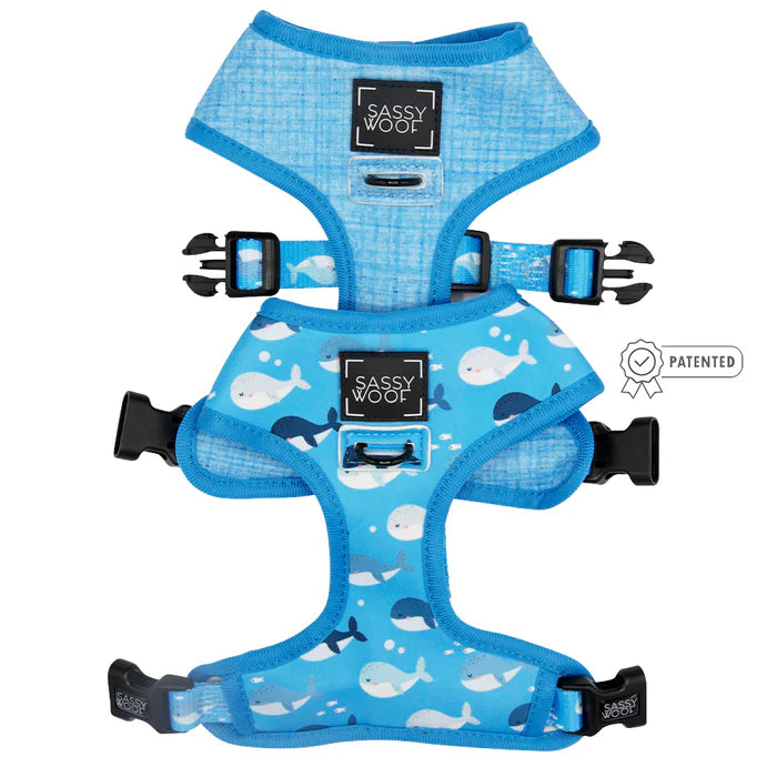 Might As Whale - Modern Dog Reversible Harness