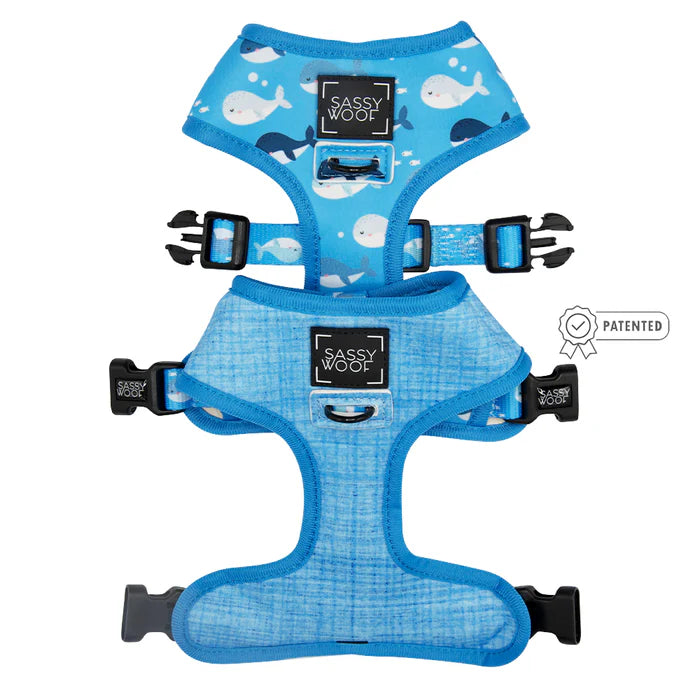 Might As Whale - Modern Dog Reversible Harness