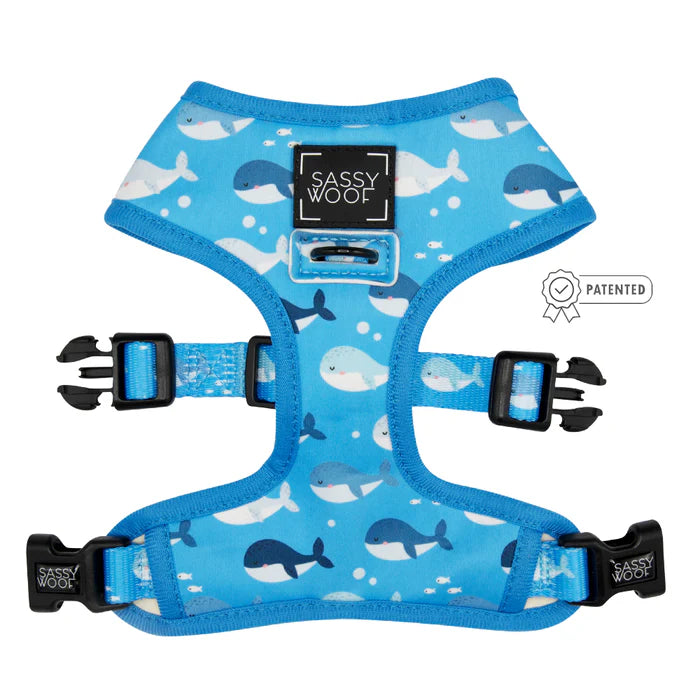 Might As Whale - Modern Dog Reversible Harness